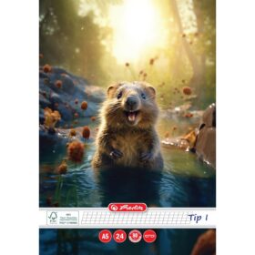 Caiet tip 1 A5 -24 file , Herlitz