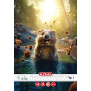 Caiet tip 1 A5 -24 file , Herlitz