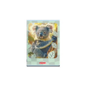 Caiet Tip 1 Herlitz 36 file 80g/mp